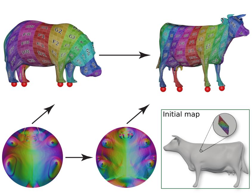 Two surfaces are repsented as 2D-to-3D maps via two overfitted neural networks. Since they are both differentiable,this in turn enables optimizing a surface-to-surface map (via h) in a completely differentiable manner.